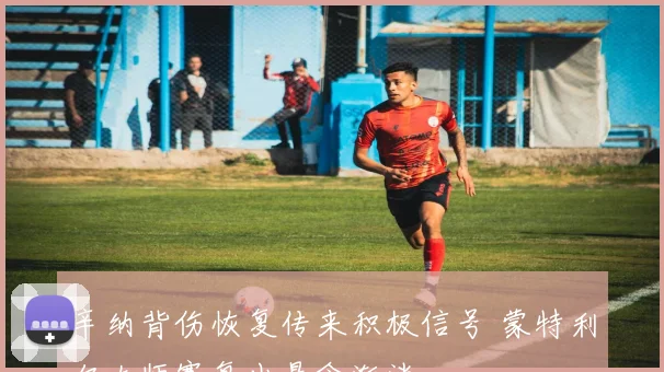 辛纳背伤恢复传来积极信号 蒙特利尔大师赛复出悬念渐消